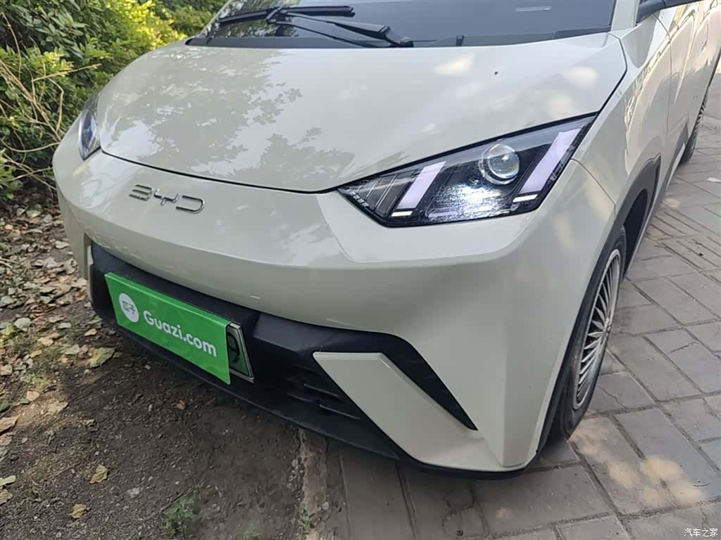 BYD Seagull, 2024 24