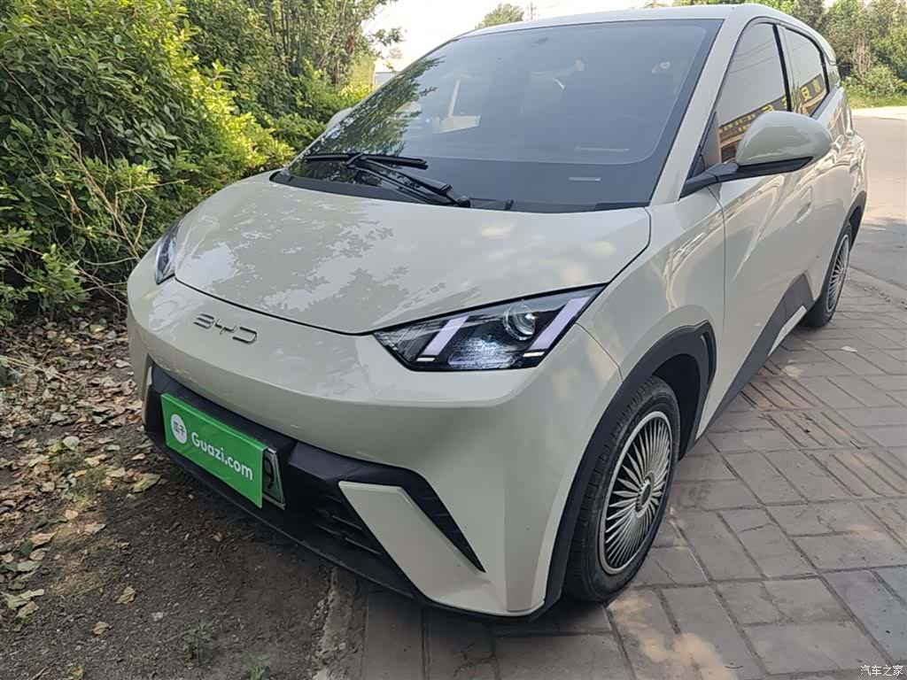 BYD Seagull, 2024 2