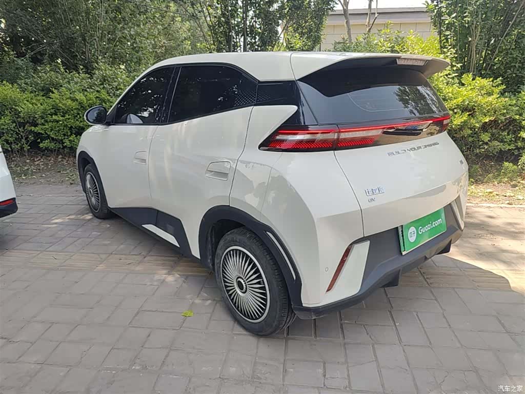 BYD Seagull, 2024 все фото