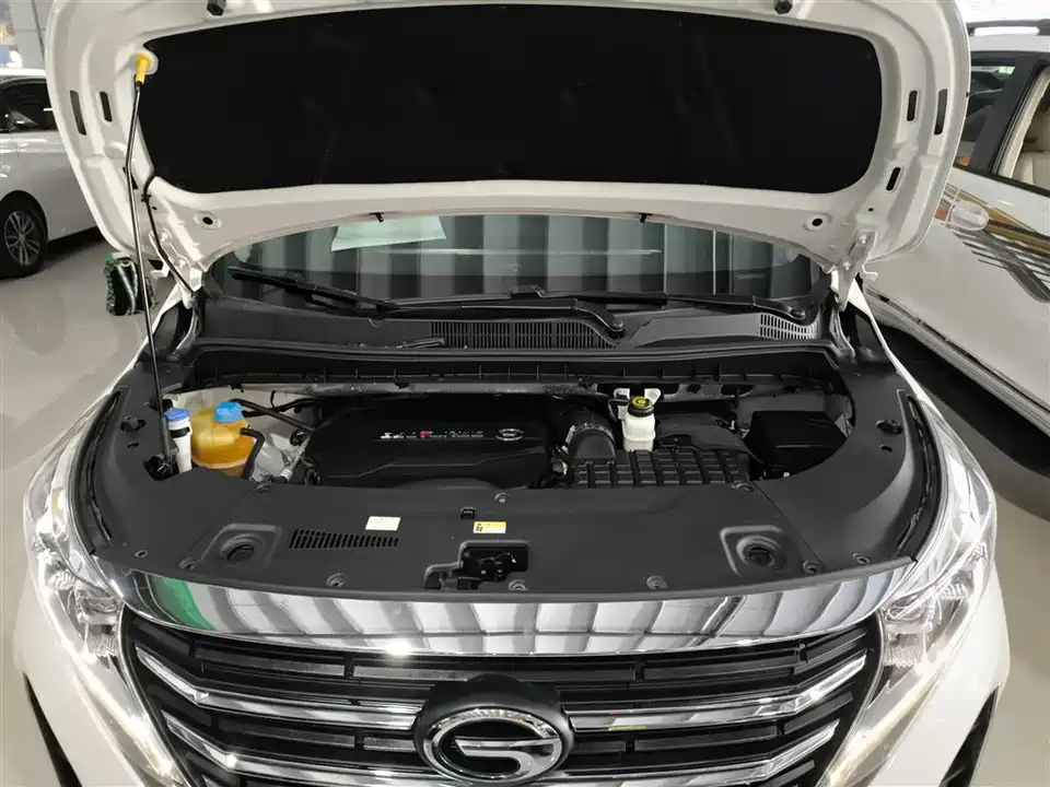 Trumpchi Trumpchi M8