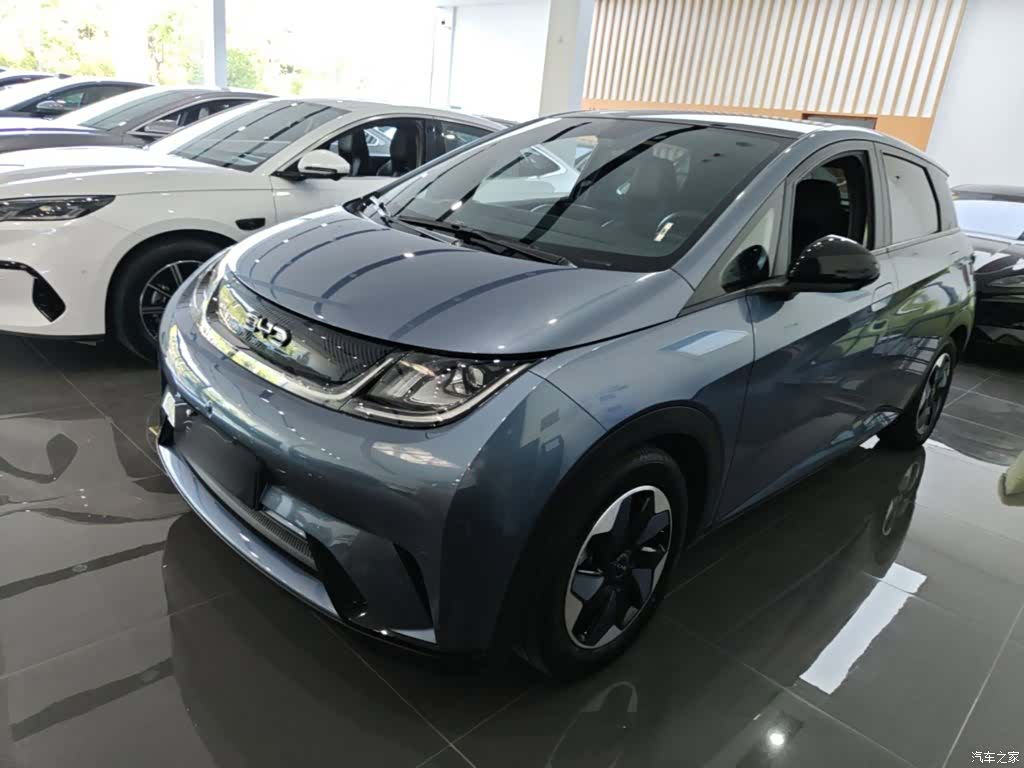 BYD Dolphin, 2024 1