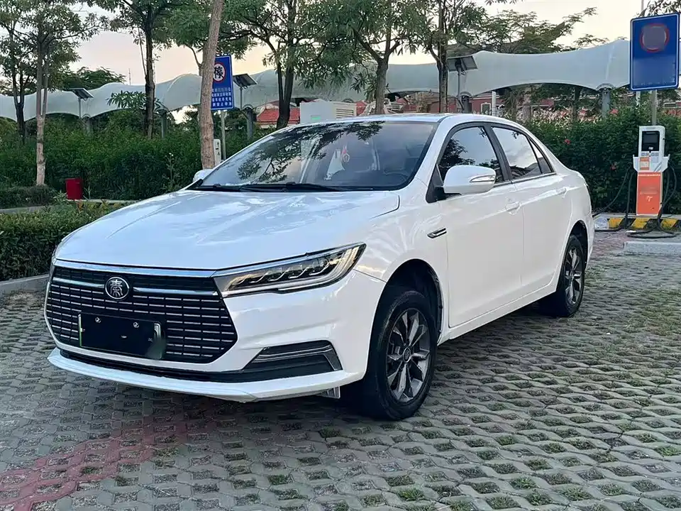 BYD Qinxin Energy