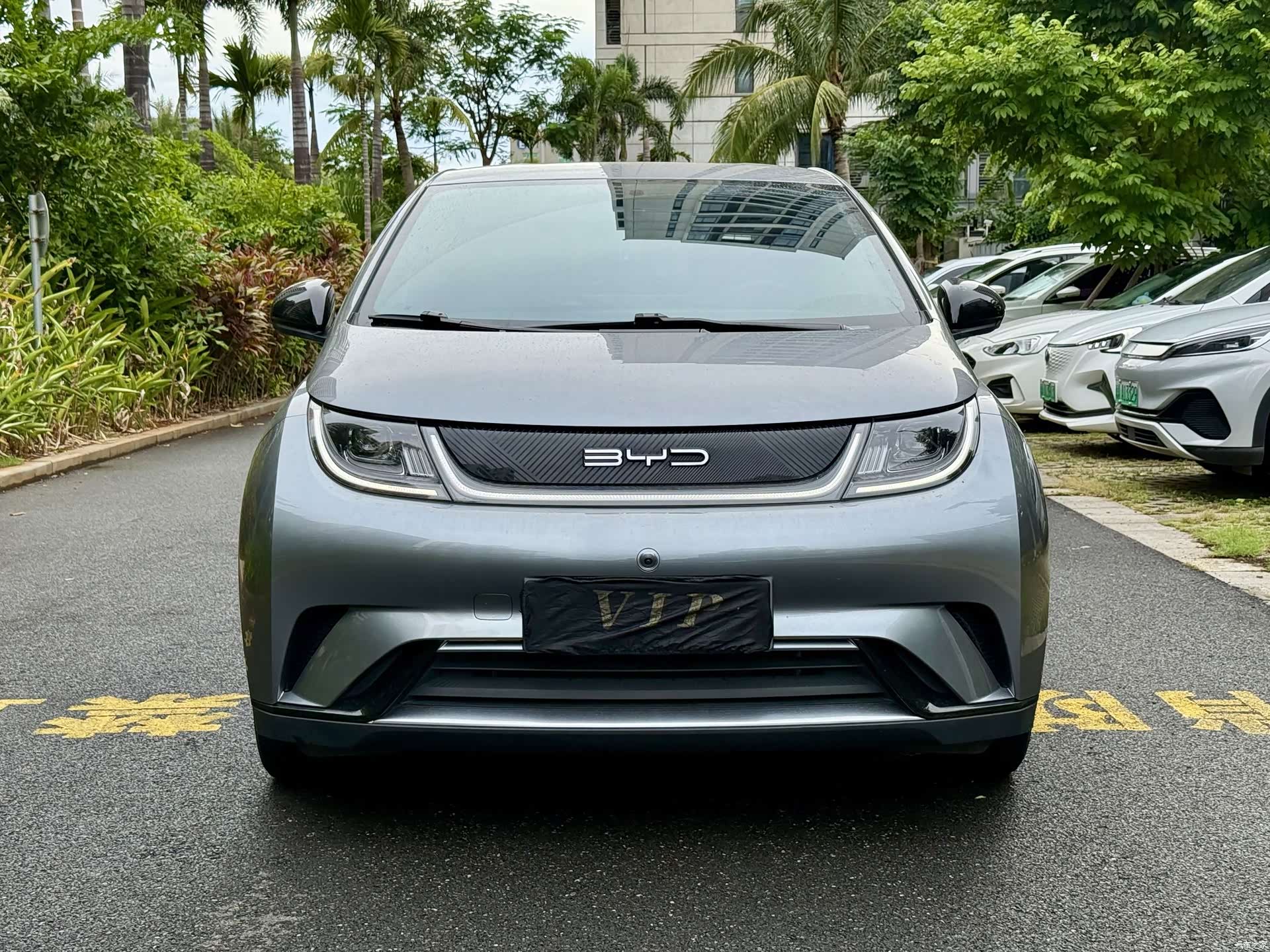 BYD Dolphin, 2023 2