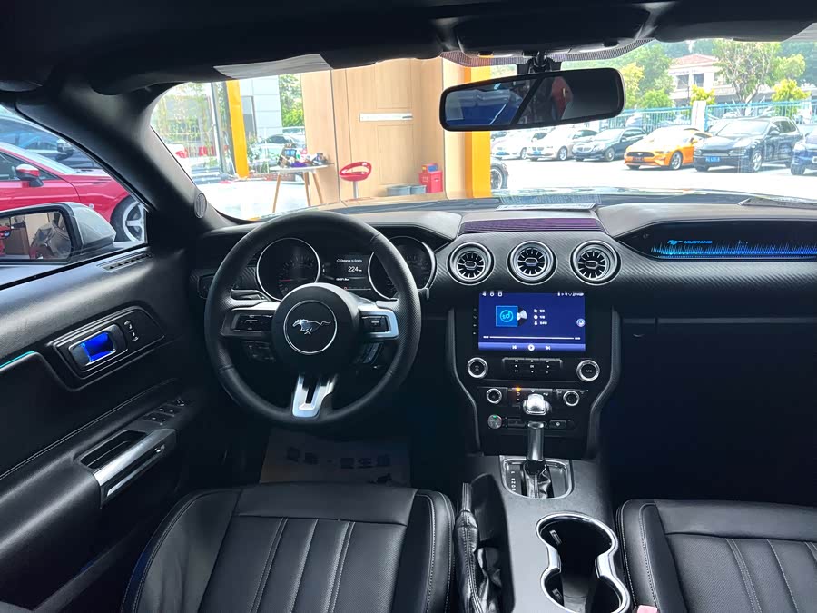 Ford Mustang 2019, фото 17