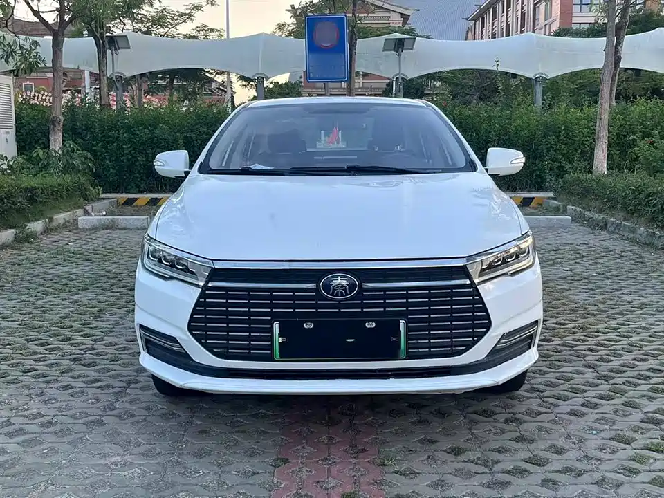 BYD Qinxin Energy