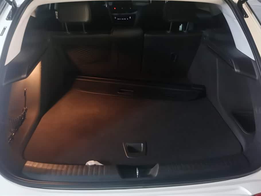 Buick Slightly blue 6