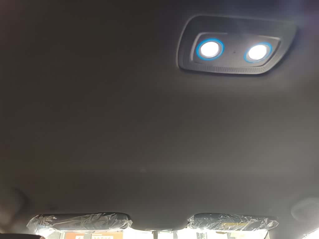 BYD Dolphin, 2026 18