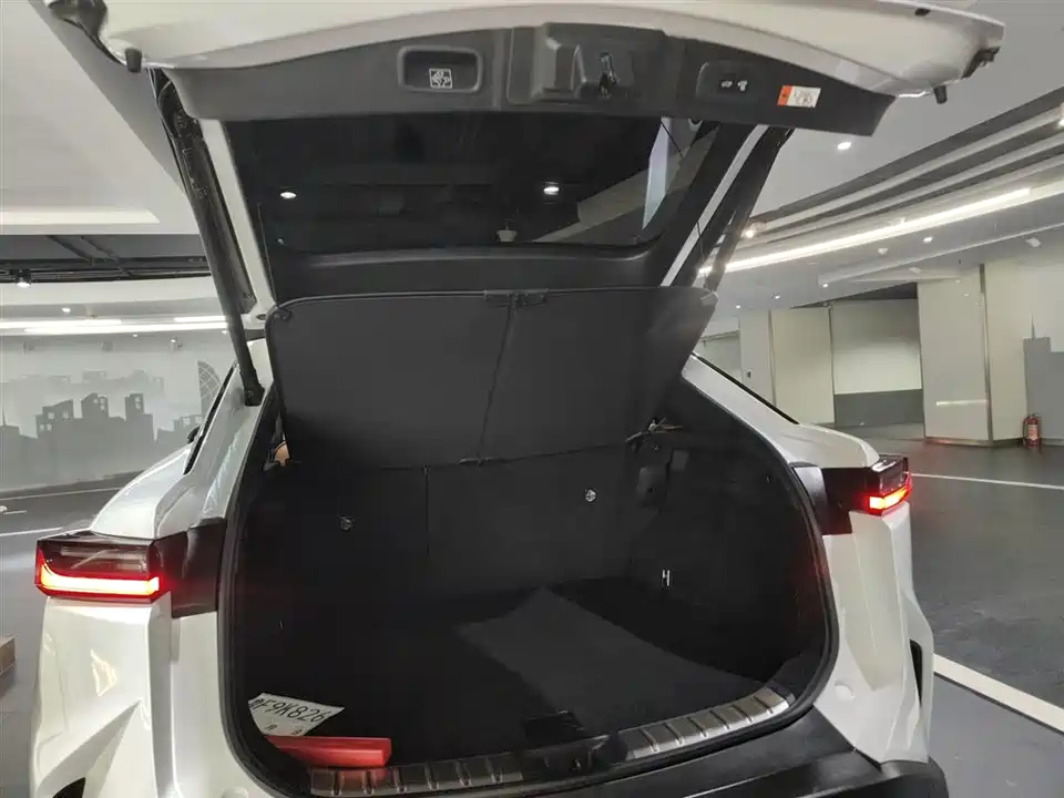 Lexus RZ