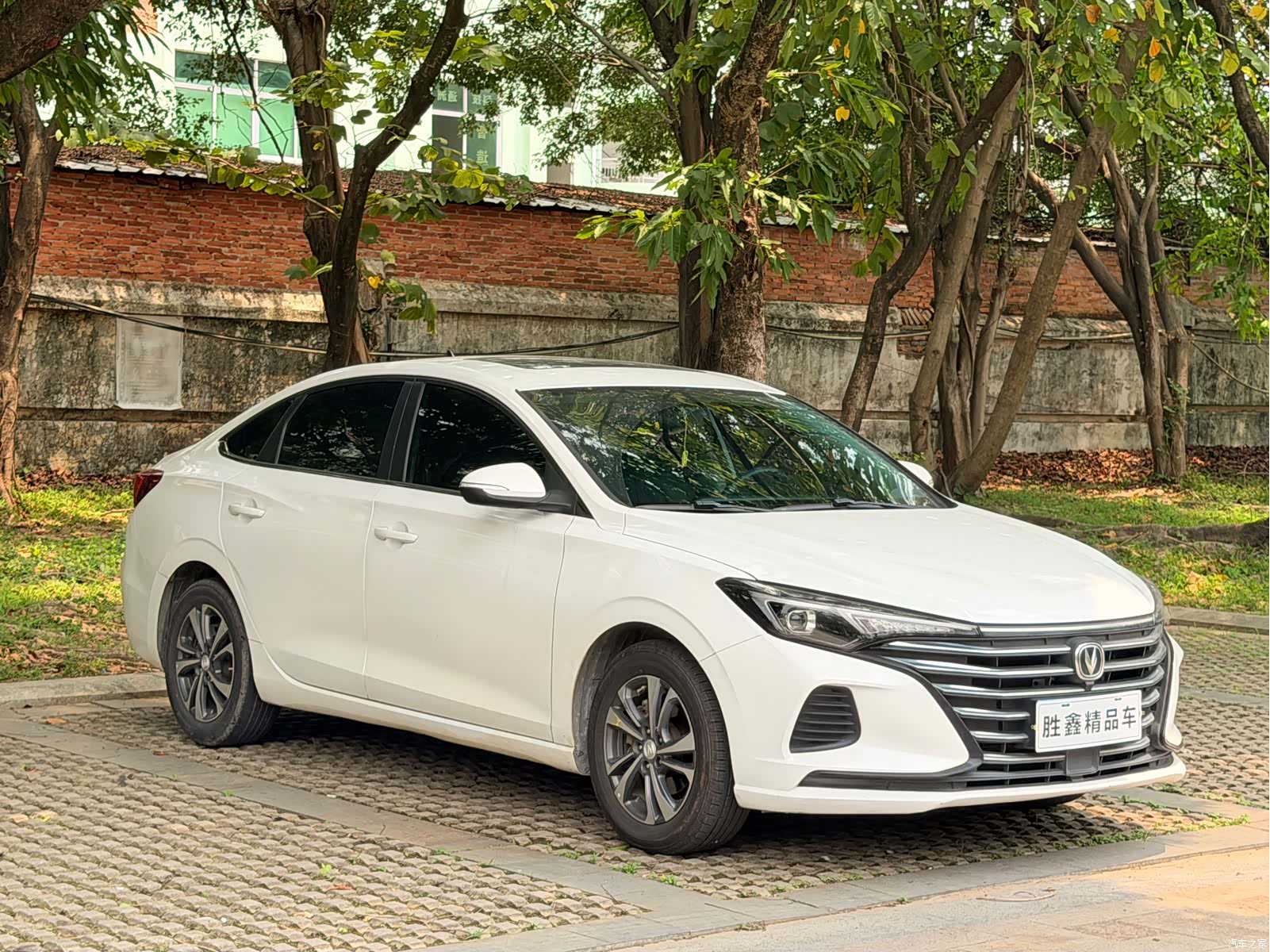 Changan Eado, 2021 3