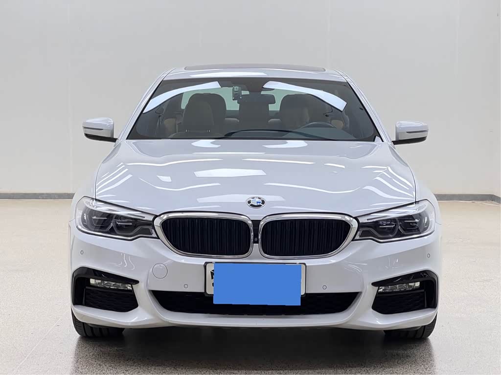 BMW 5 Series 5 2018 530Li Premium M Sport
