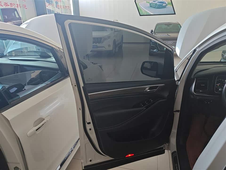 Trumpchi Trumpchi M8