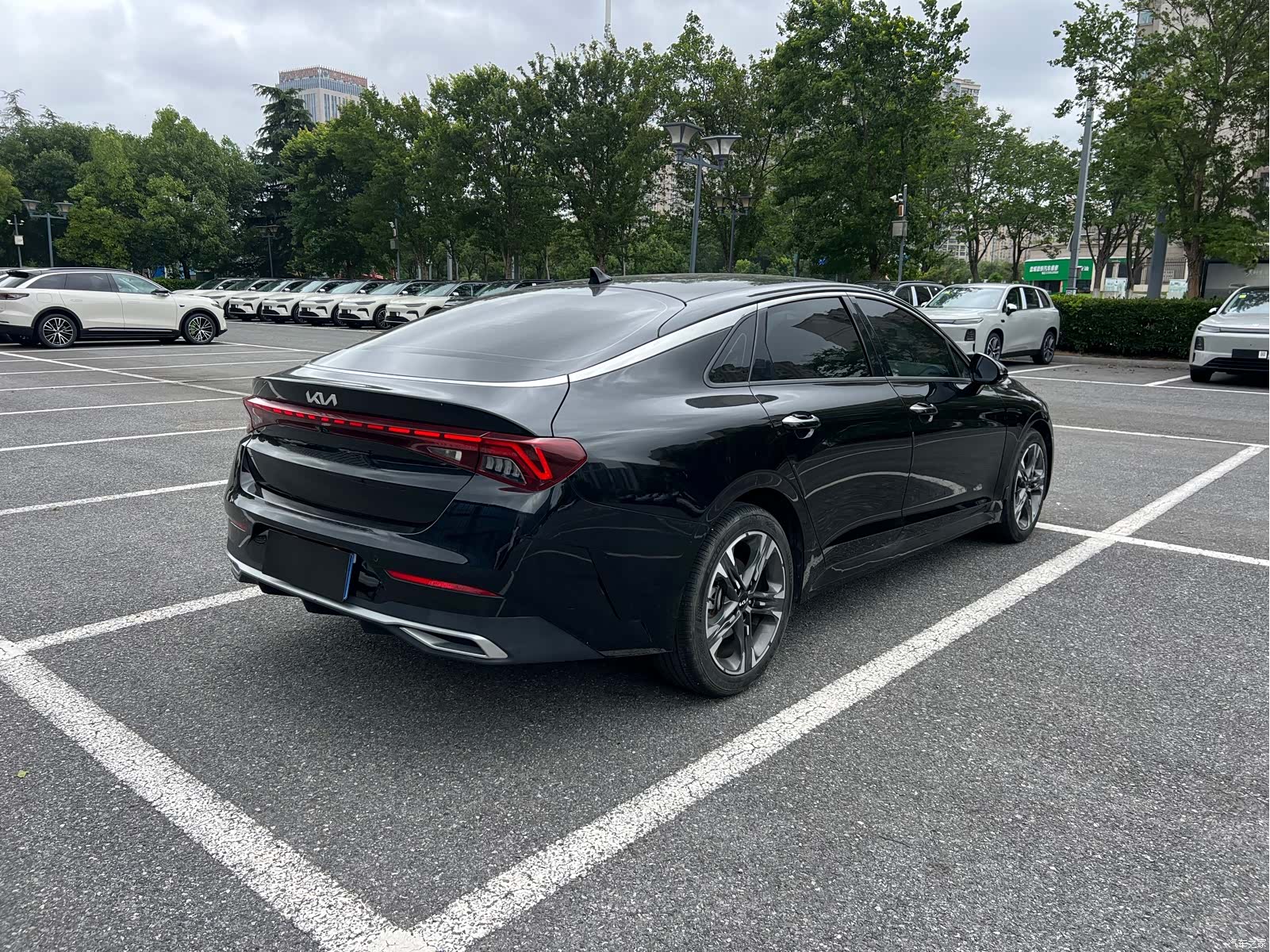 Kia K5, 2024 3