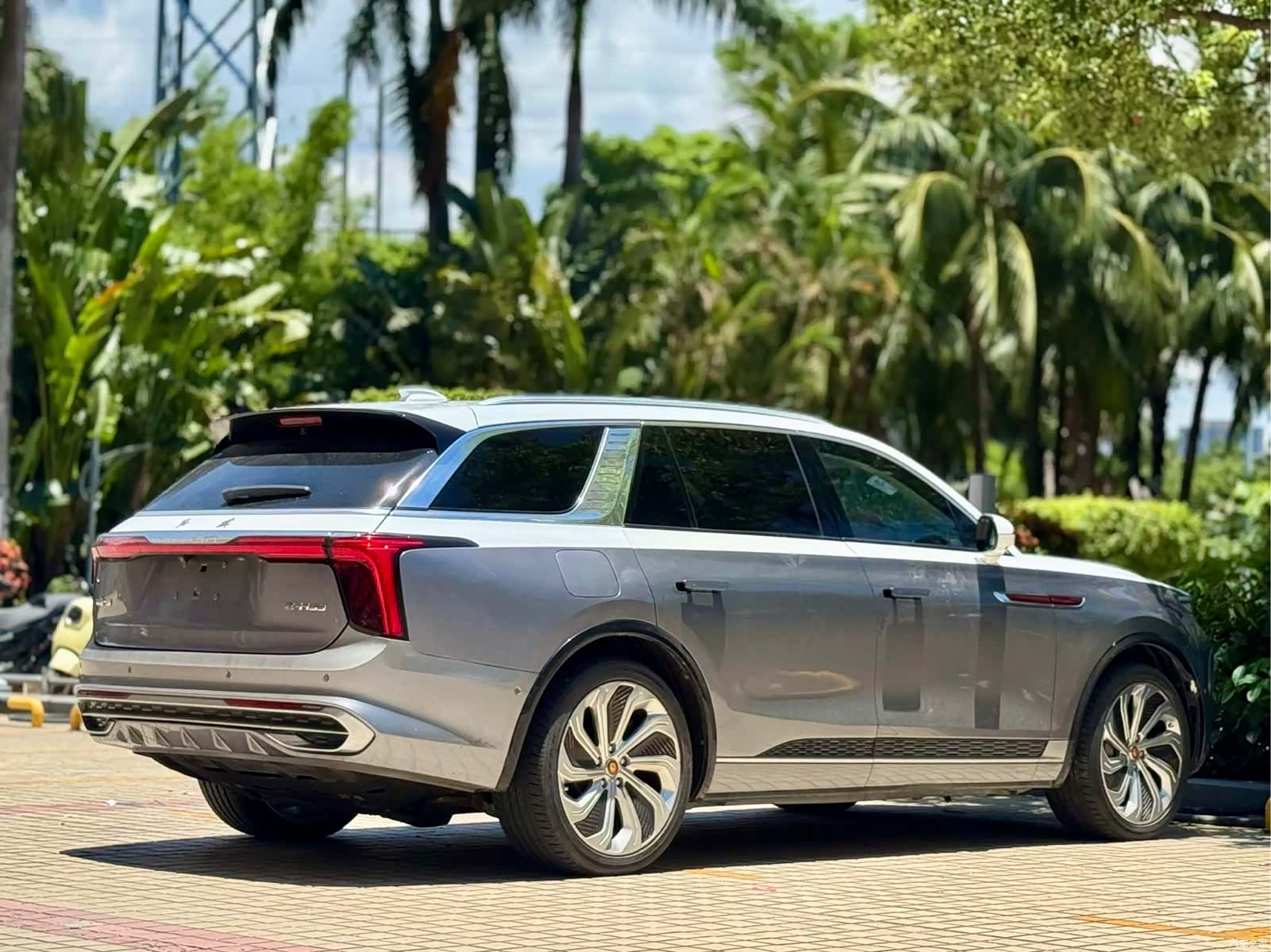 Hongqi E-HS9, 2021 20