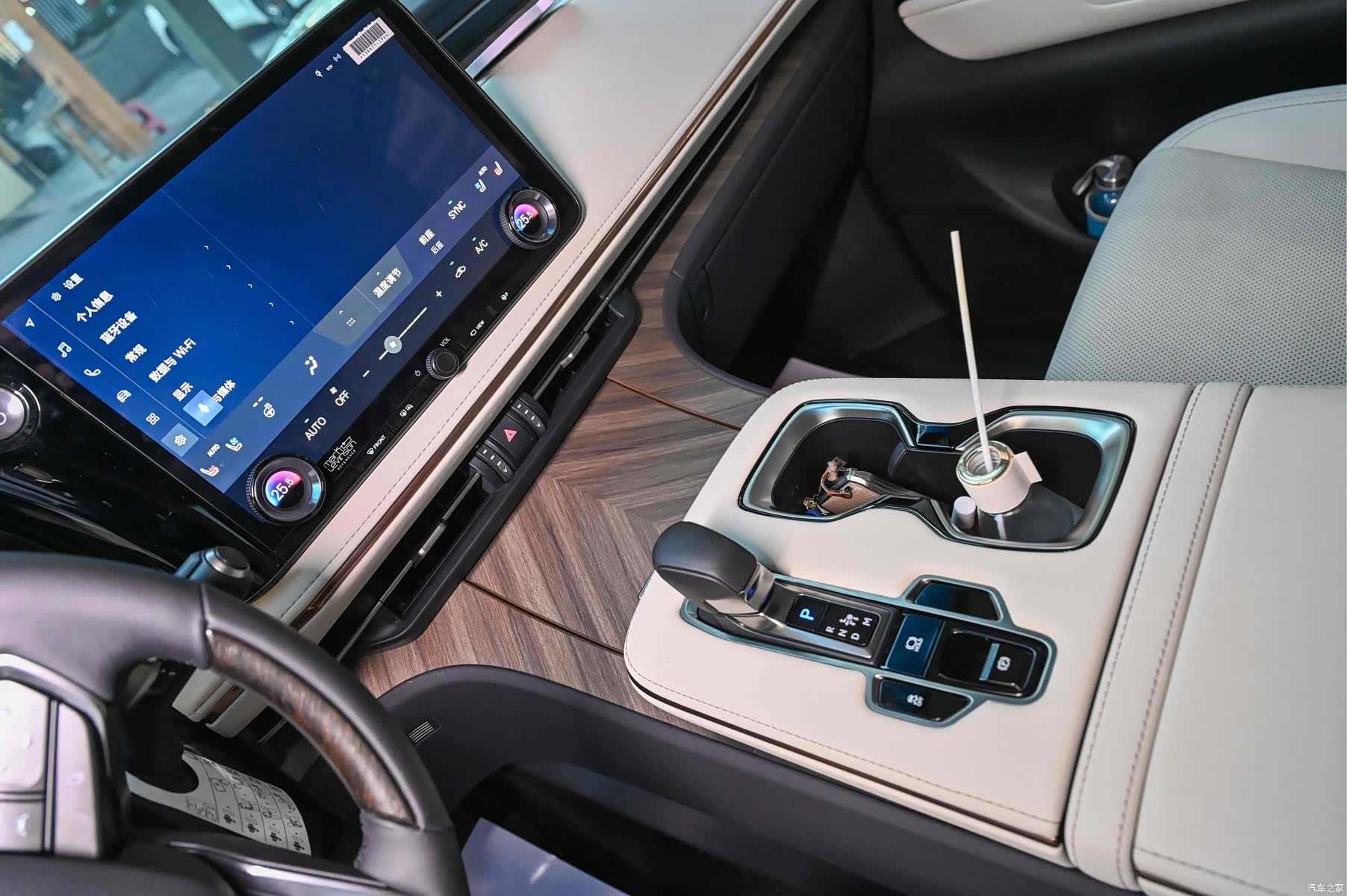 Lexus LM, 2024 18