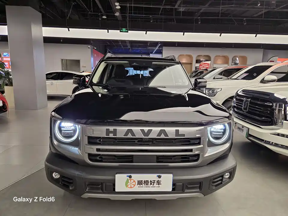 Haval Big dog