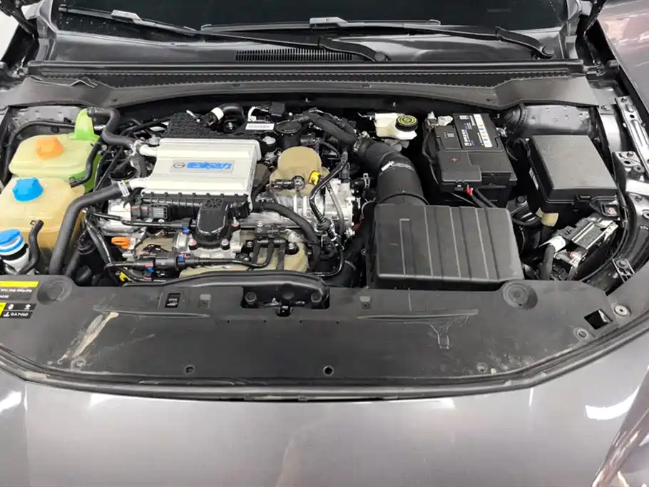 Trumpchi Shadow Leopard Trumpchi Shadow Leopard