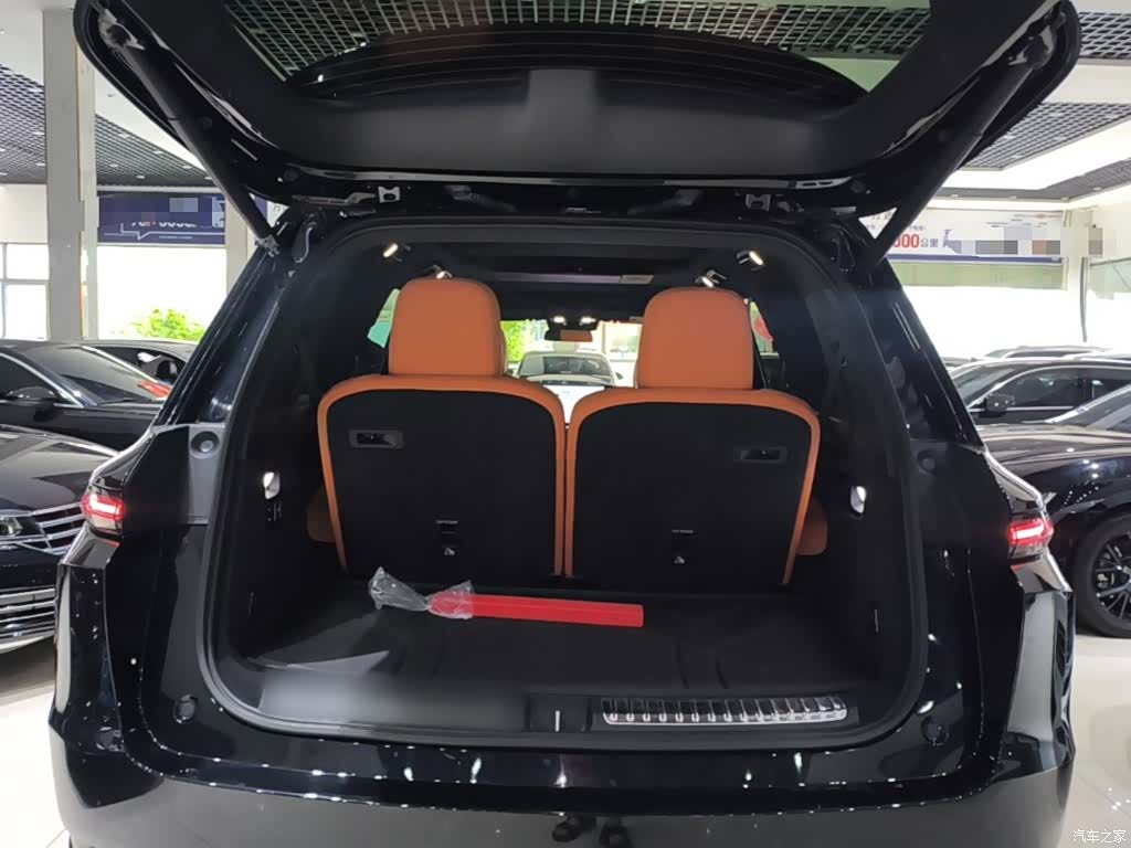 Li Auto L9, 2022 19