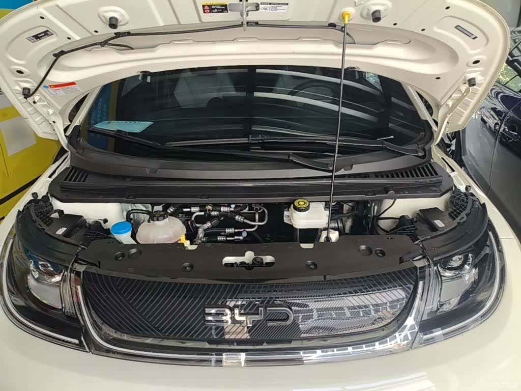 BYD Dolphin, 2024 20