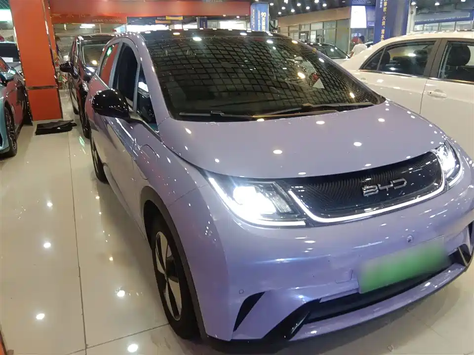 BYD dolphin