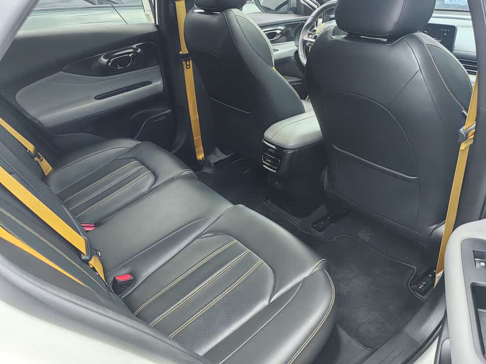 Trumpchi Shadow Leopard