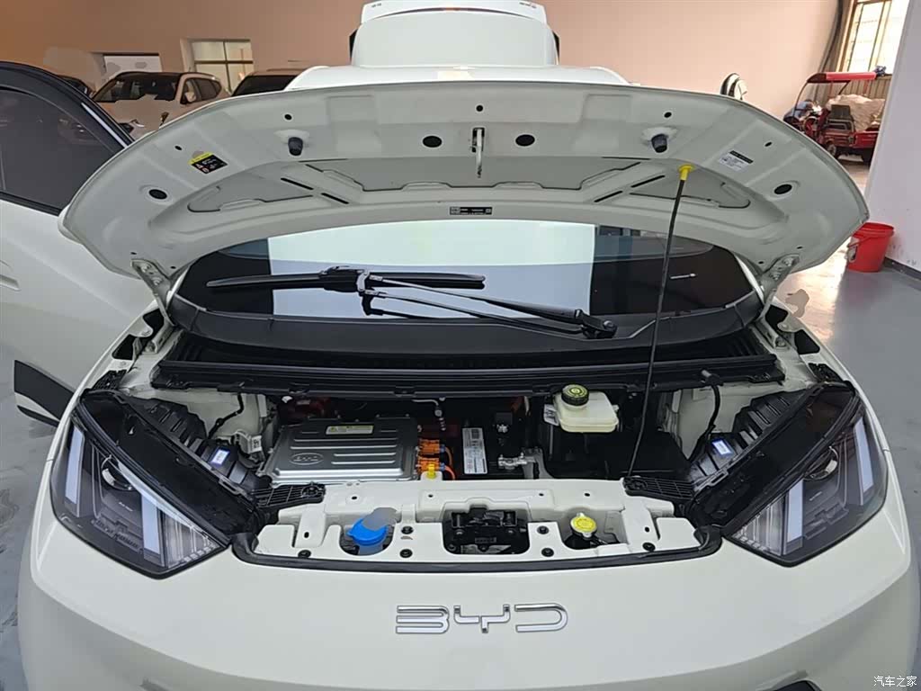BYD Seagull, 2024 20