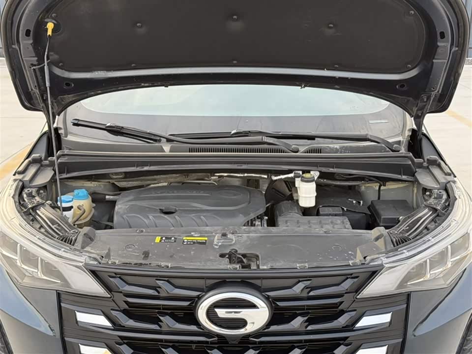 Trumpchi Trumpchi M6