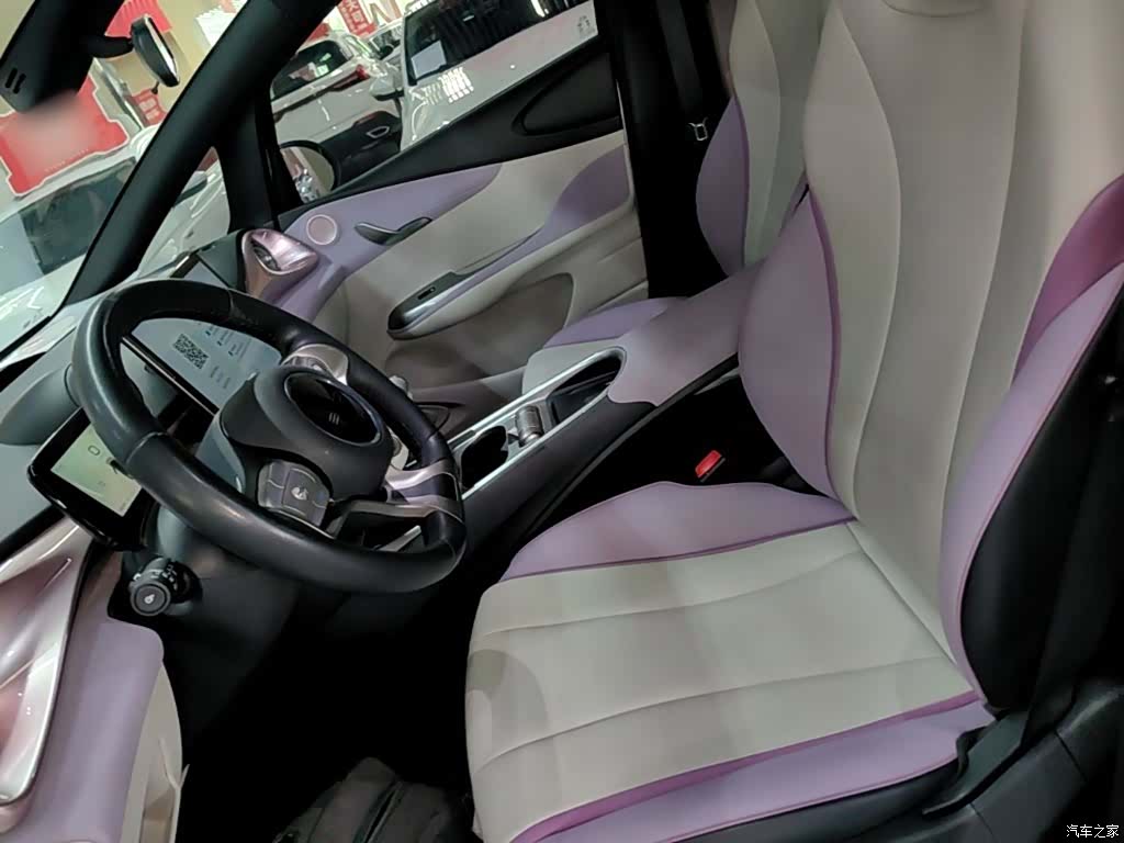 BYD Dolphin, 2023 15