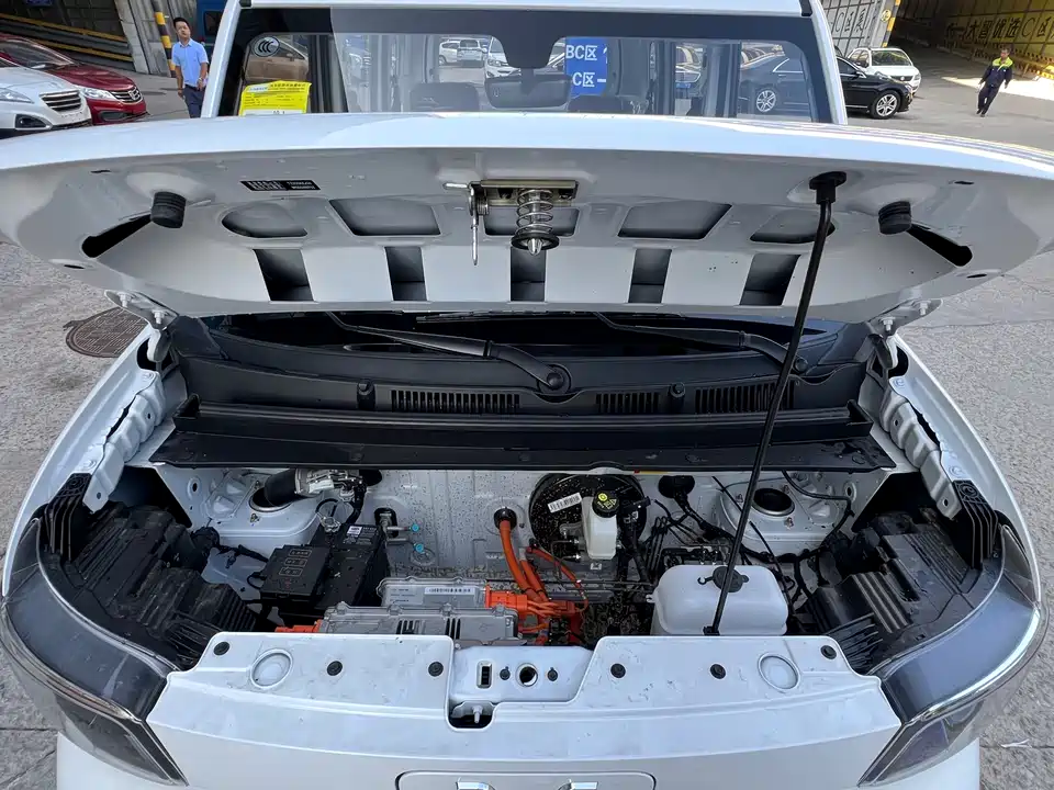 Wuling Wuling Zhiguang