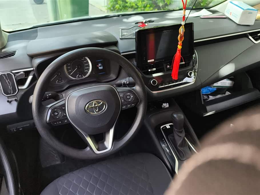 Toyota Asian lion