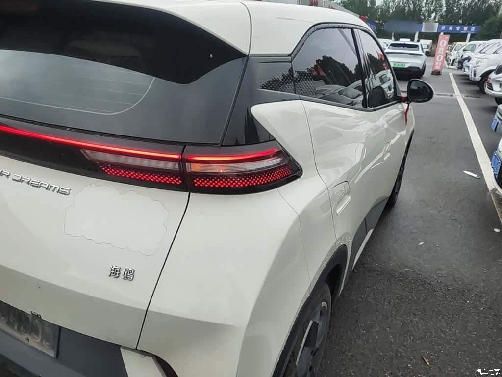 BYD Seagull, 2024 8