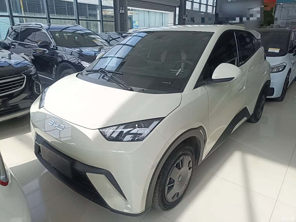 BYD Seagull, 2024 2