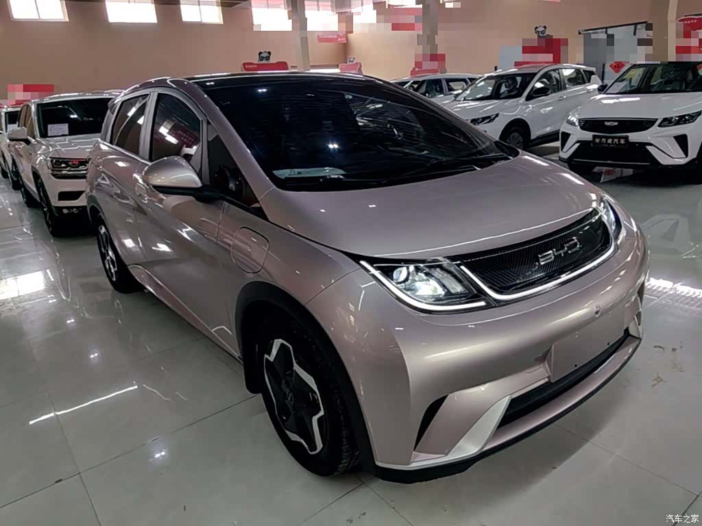 BYD Dolphin, 2023 4