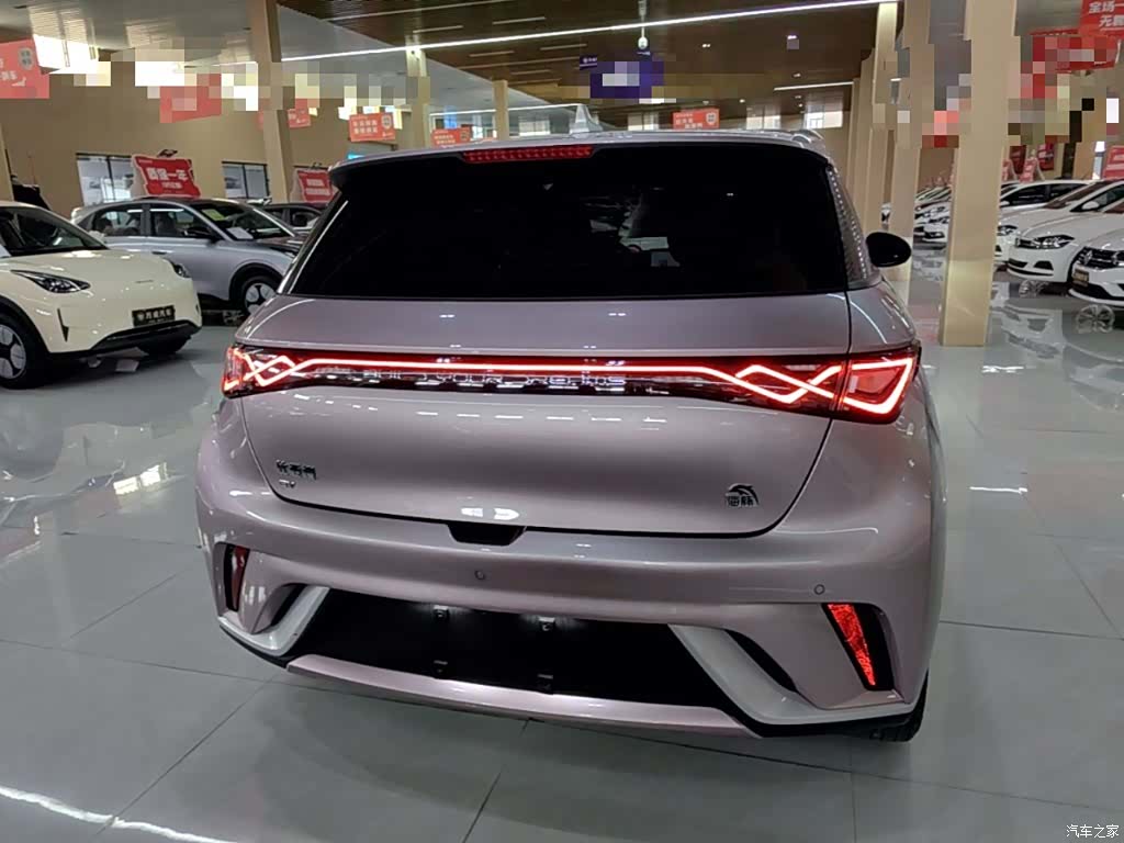 BYD Dolphin, 2023 6