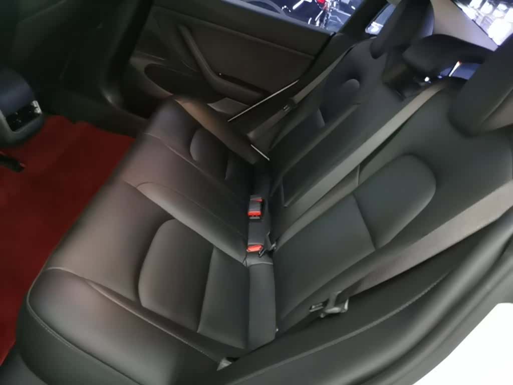 Tesla Model 3, 2020 17