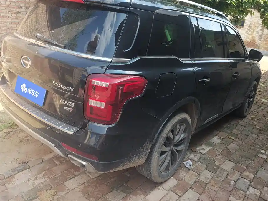 Trumpchi Trumpchi GS8