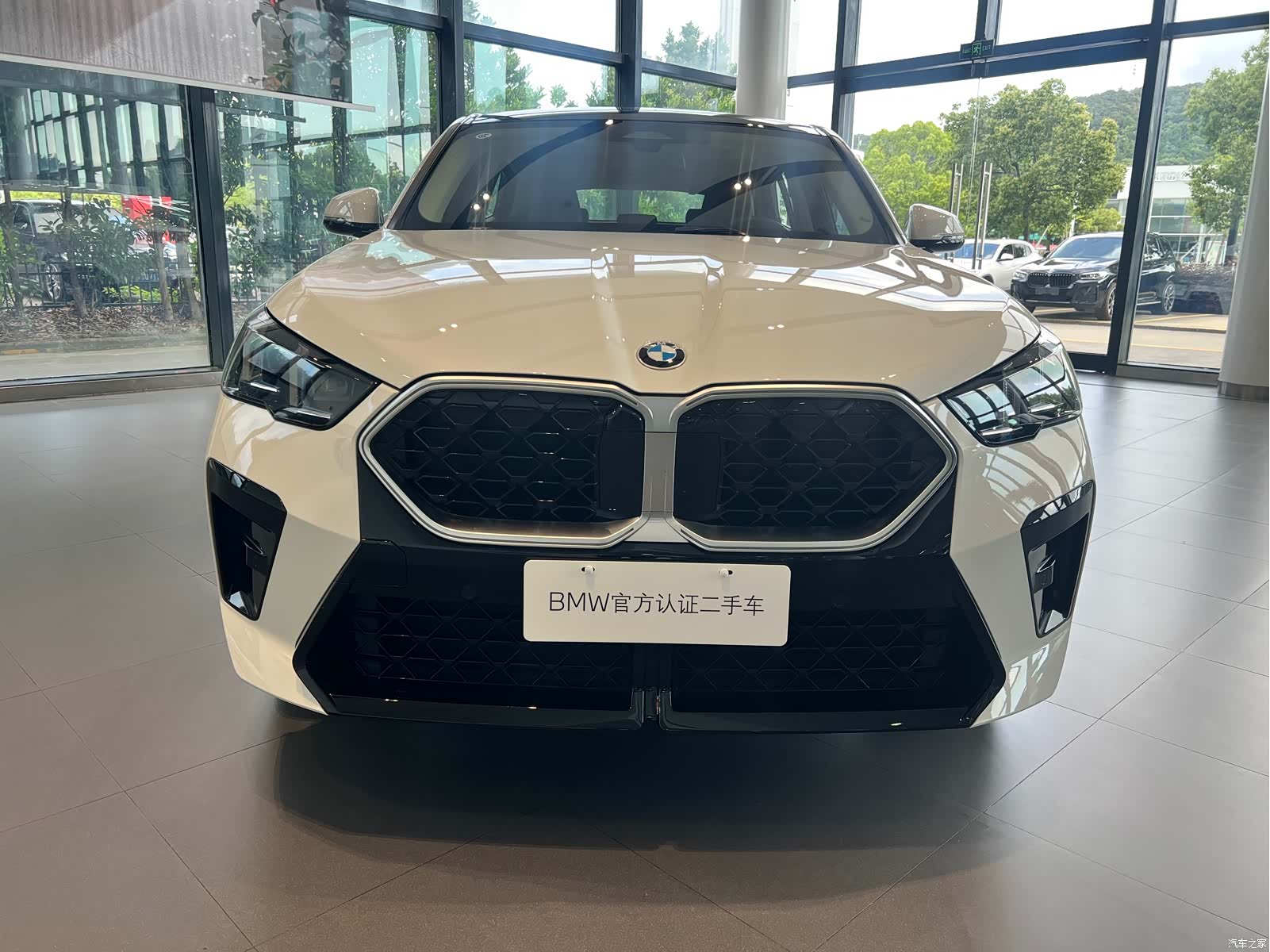 BMW X2, 2025 2