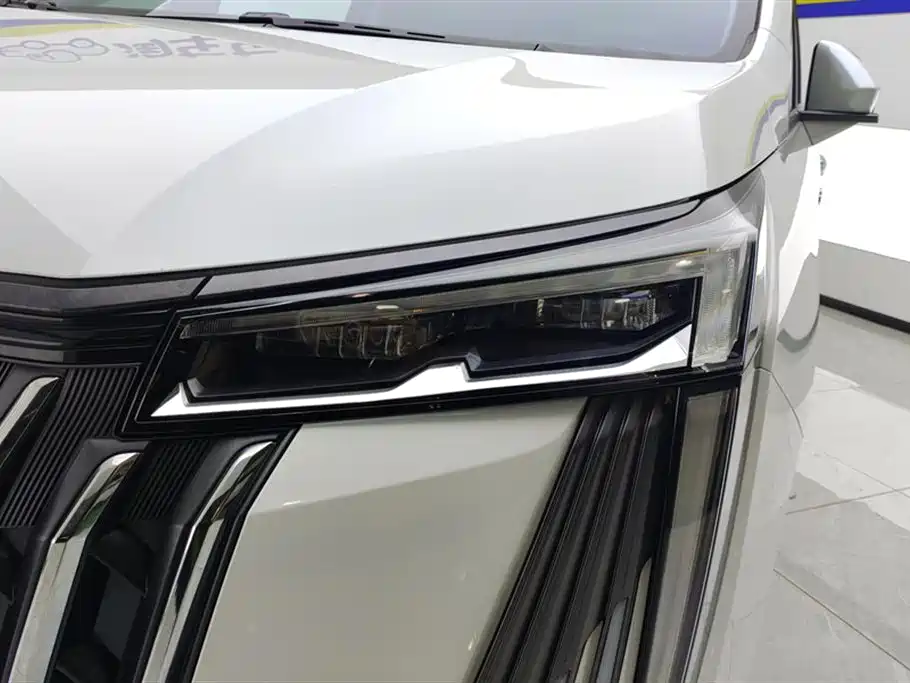 Trumpchi Trumpchi M8