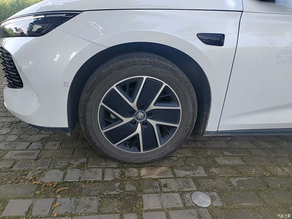 BYD Qin, 2025 25