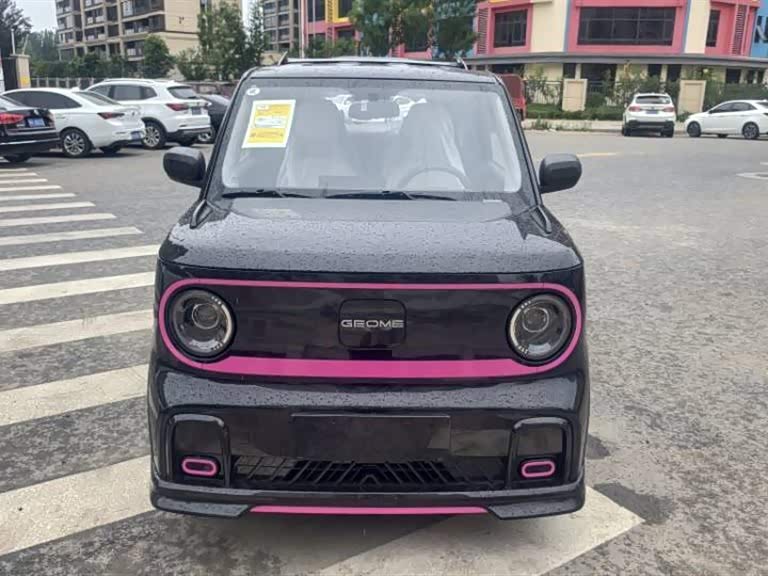 Geely Galaxy panda Geely Galaxy panda