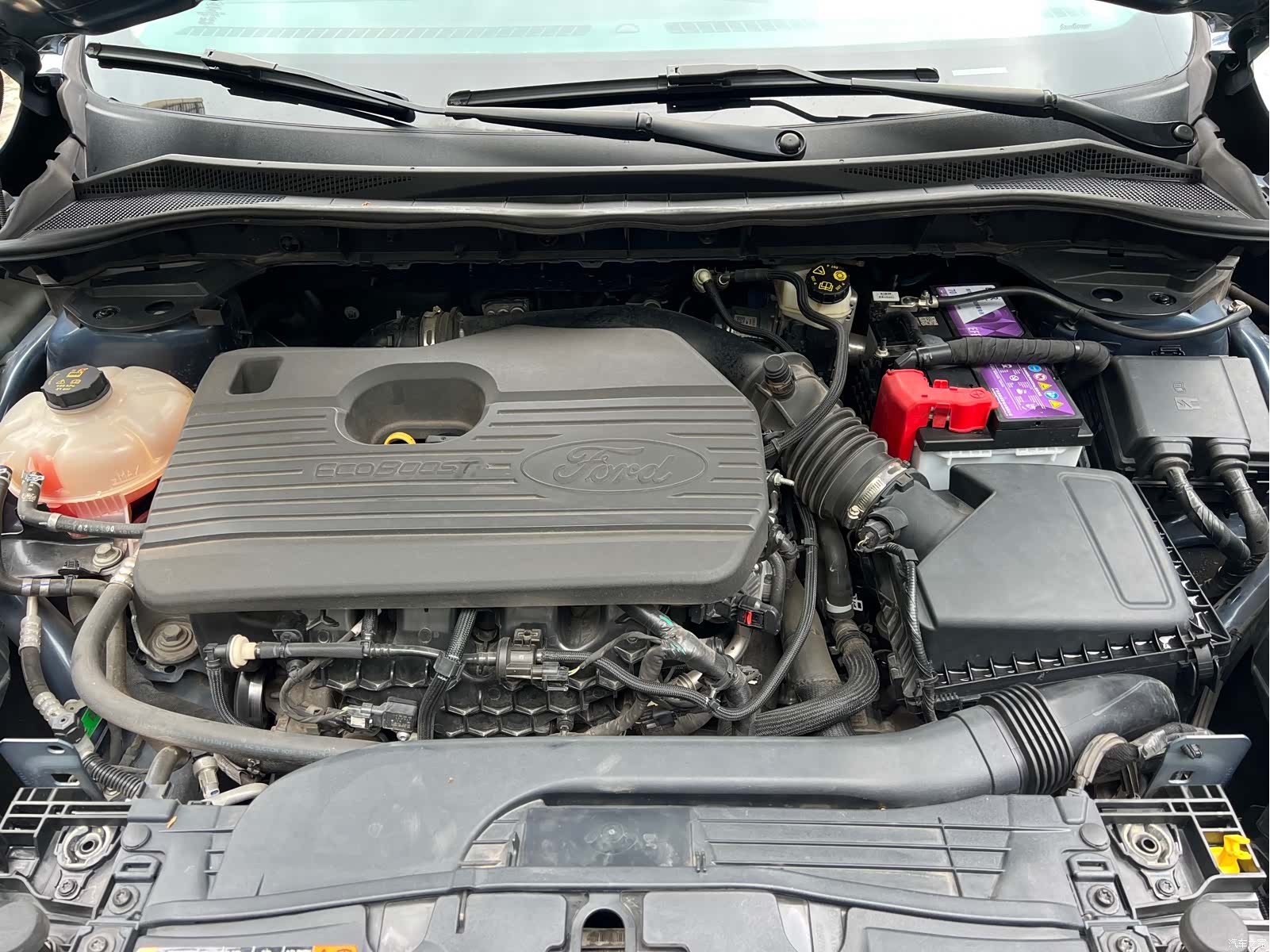 Ford Escape, 2021 все фото
