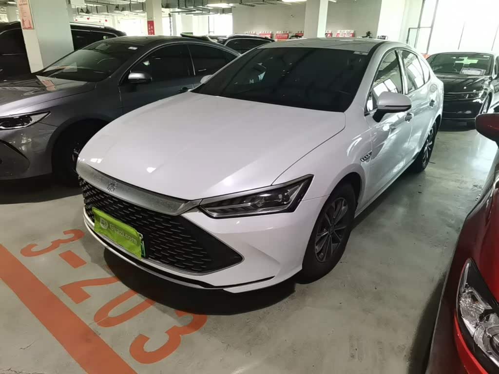 BYD Qin Plus PLUS 2024 DM-i 55KM Lead