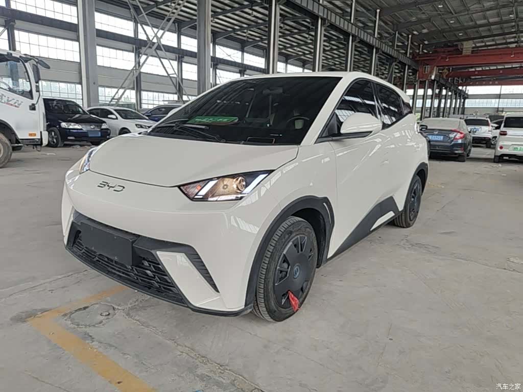 BYD Seagull, 2025 2