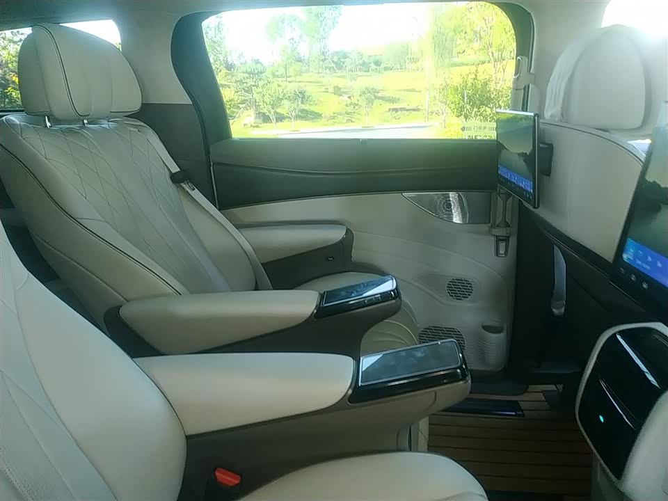 Denza D9 Denza D9