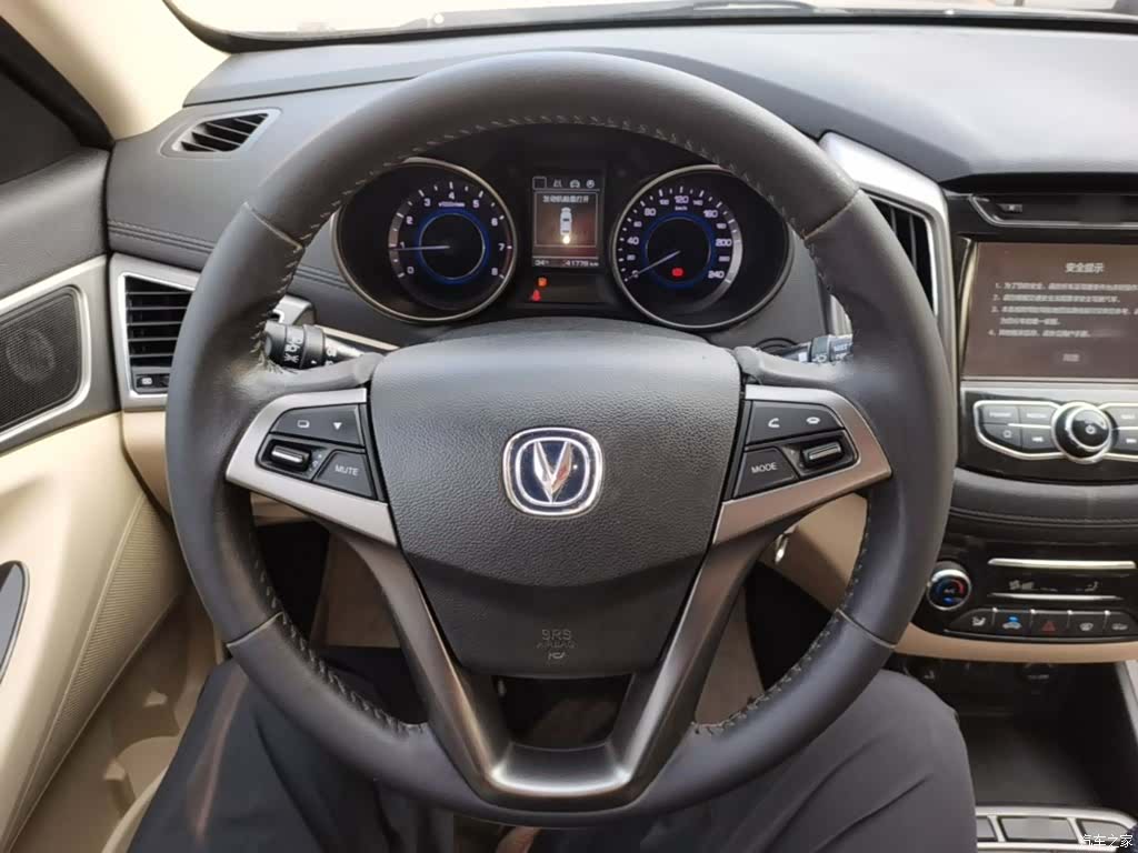 Changan Eado, 2017 11