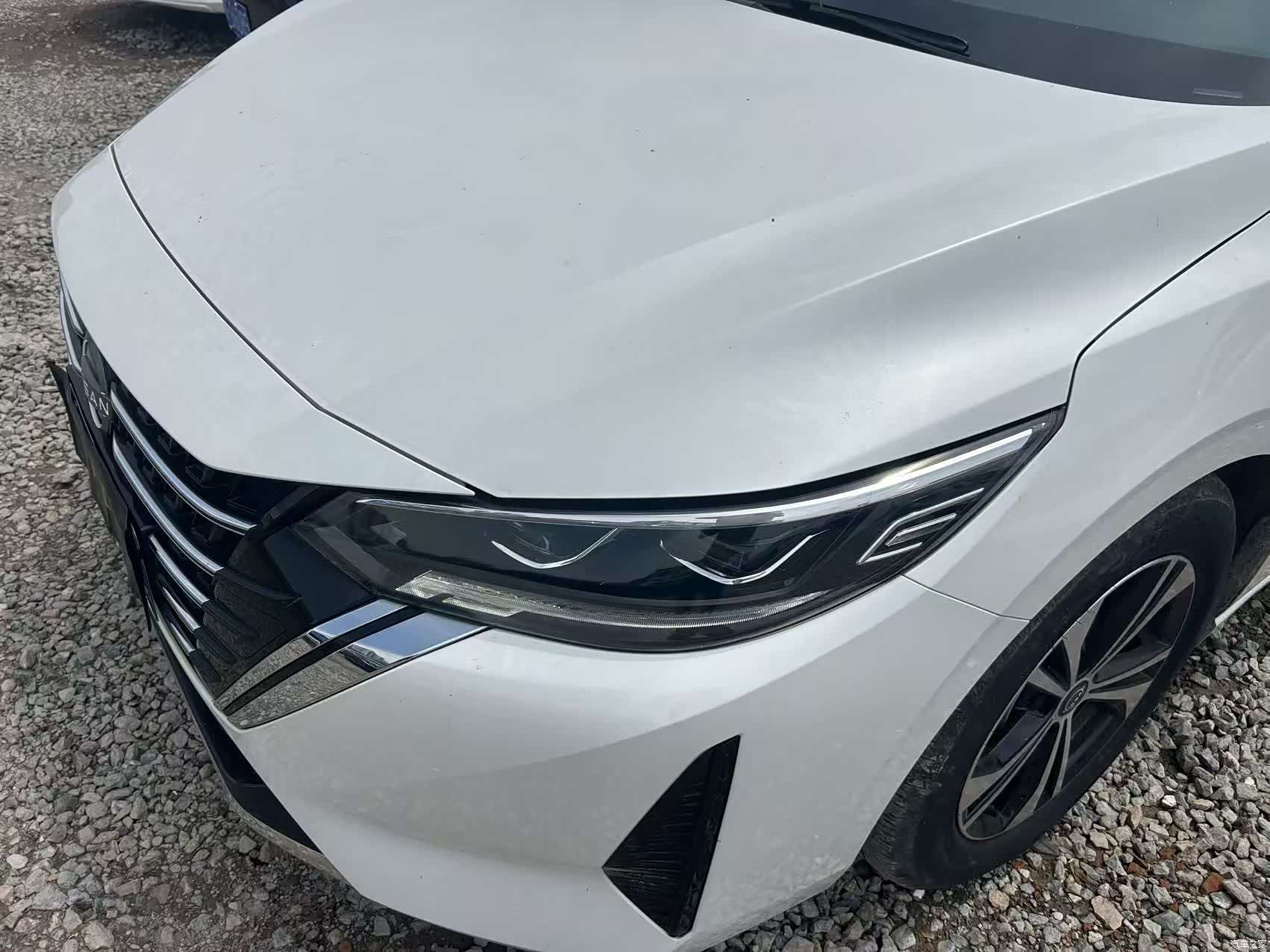 Nissan Sylphy, 2024 7