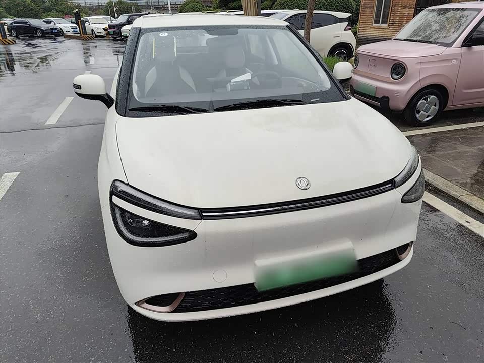 Dongfeng Nammi Nano 01