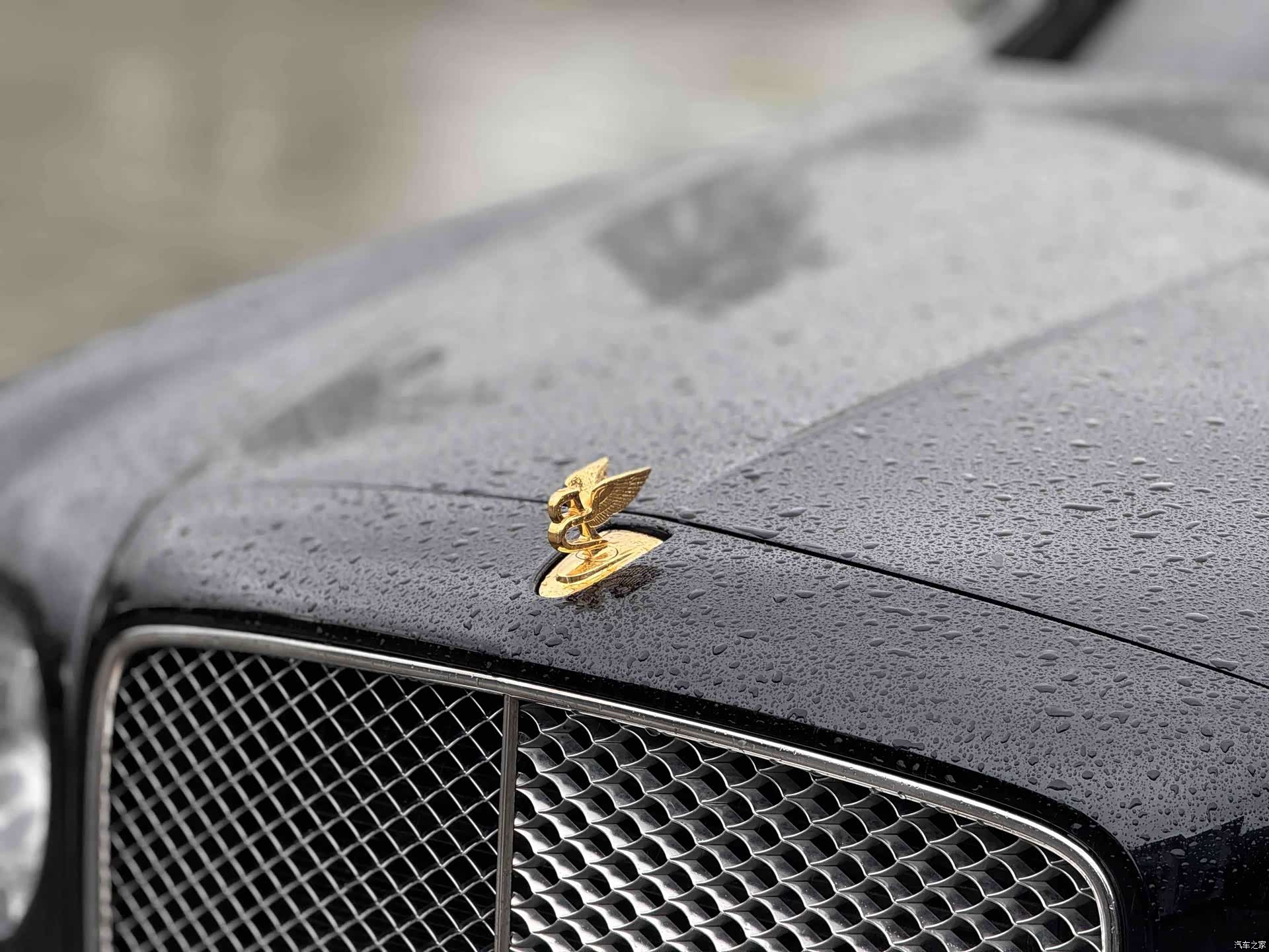 Bentley Mulsanne, 2015 17