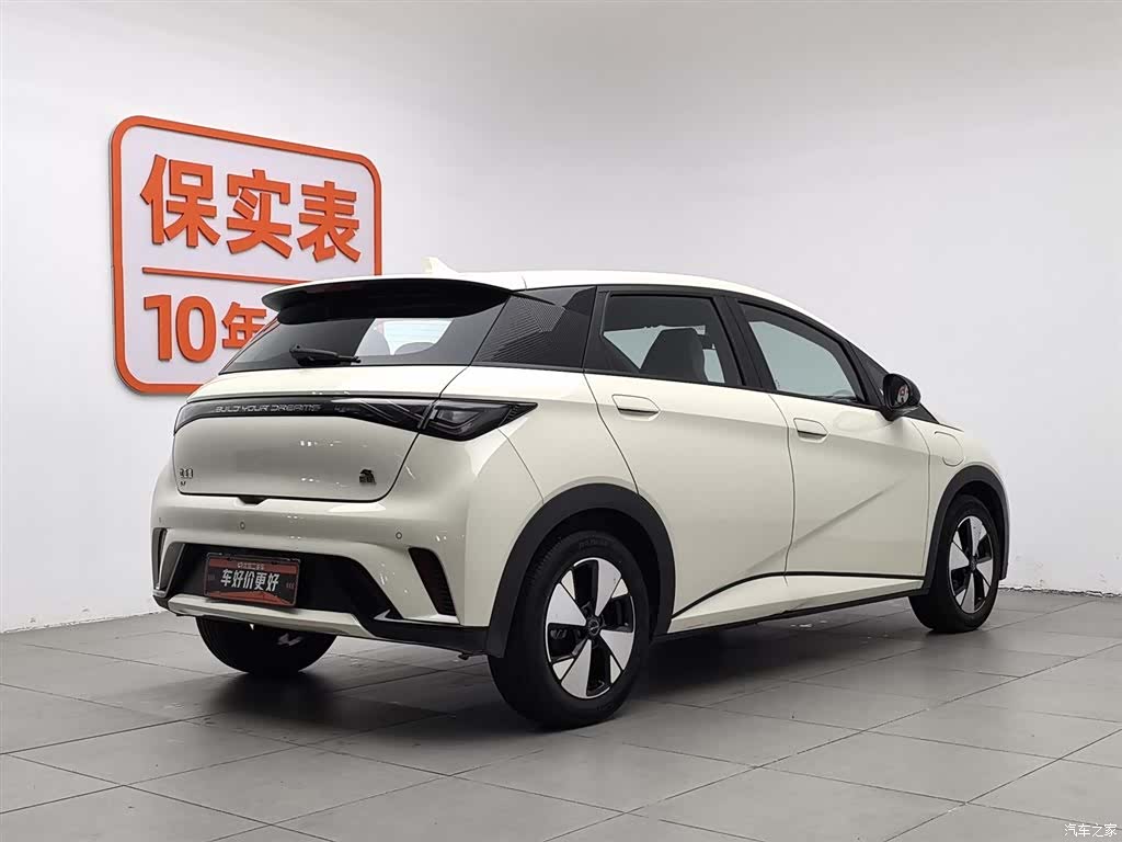 BYD Dolphin, 2024 2