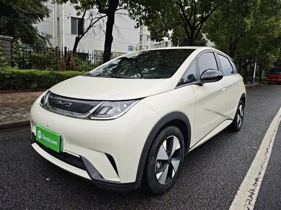 BYD dolphin