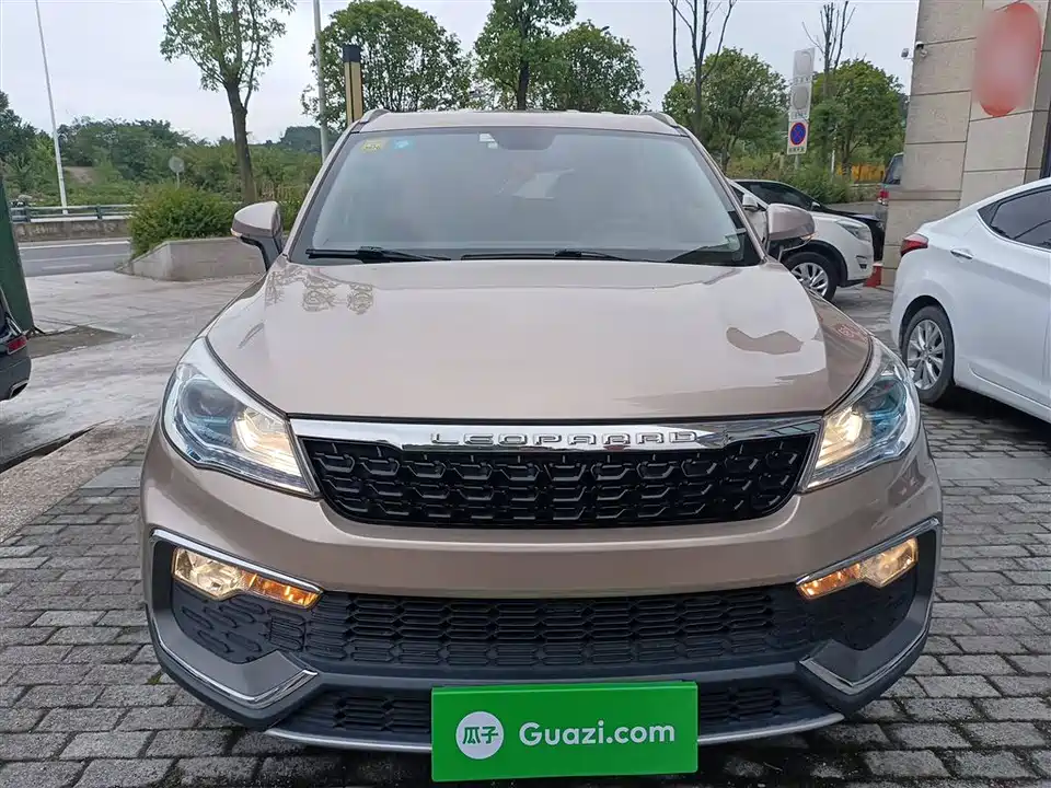 Leopaard Cheetah CS9